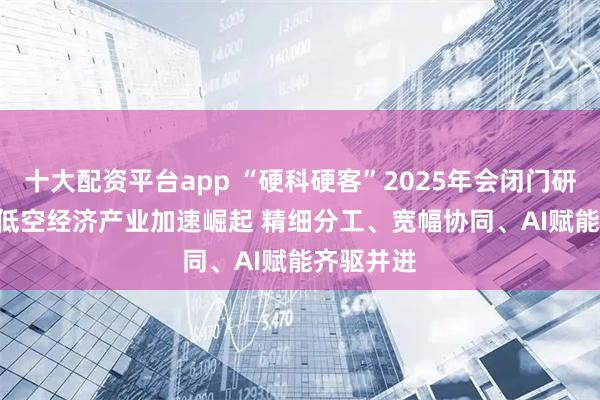 十大配资平台app “硬科硬客”2025年会闭门研讨之五 | 低空经济产业加速崛起 精细分工、宽幅协同、AI赋能齐驱并进